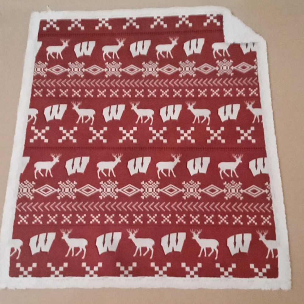 NWT Wisconsin Badgers Super Soft Sherpa Backed 60x70" Throw, NFL